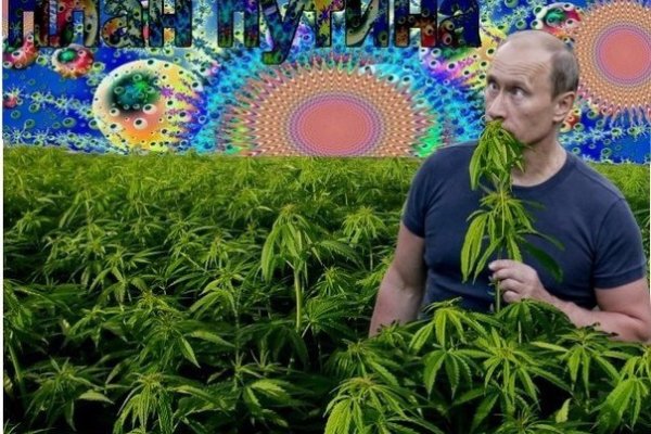Kraken домен