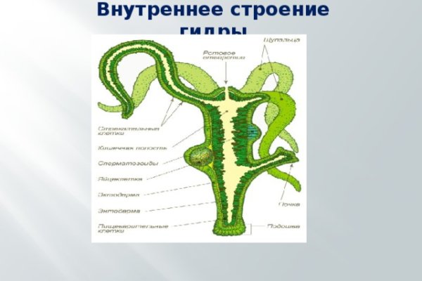 Кракен шоп зеркало