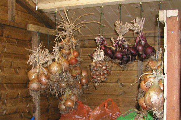 Кракен даркнет ссылка для тор