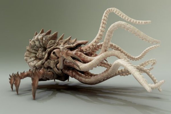 Tor kraken маркет
