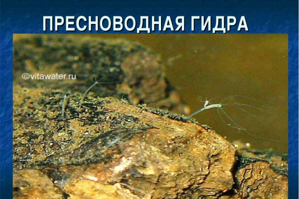 Kraken что это за магазин