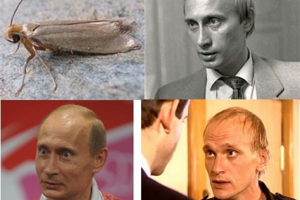 Кракен это современный даркнет