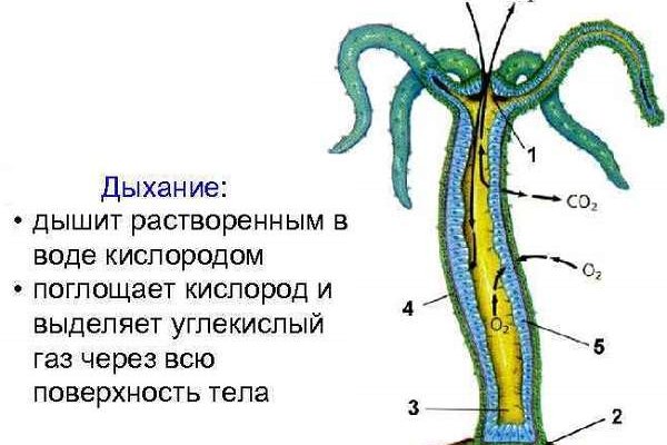 Kra30.at