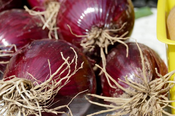 Кракен сайт официальный onion