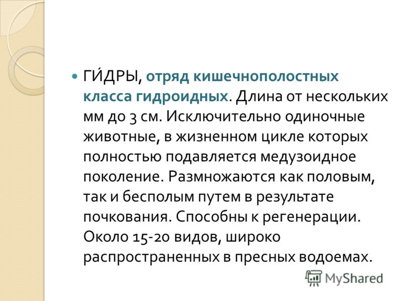 Кракен тор store